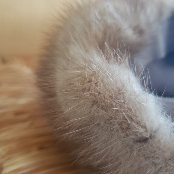 VINTAGE Fur Hat! main image 8